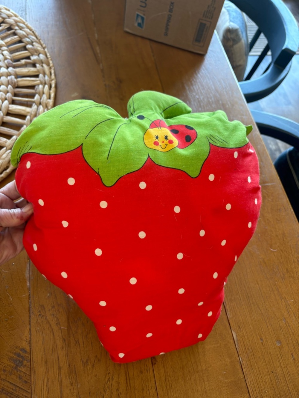 Vintage Strawberry Heart Pillow with Ladybug Accent